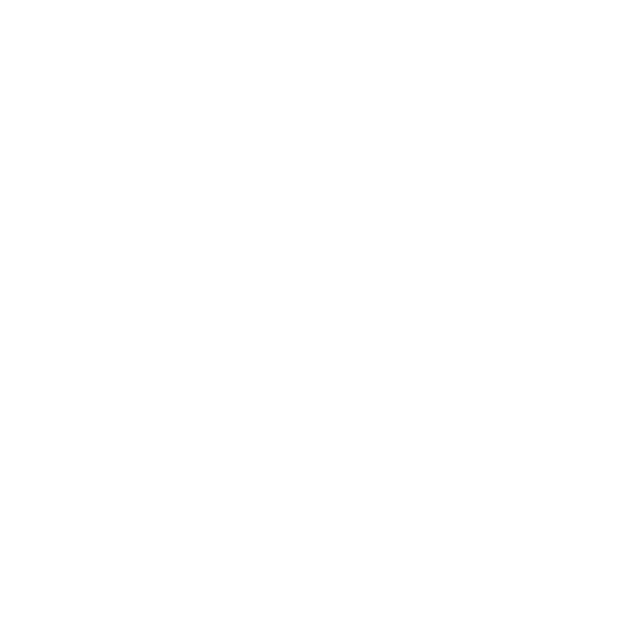 FSP